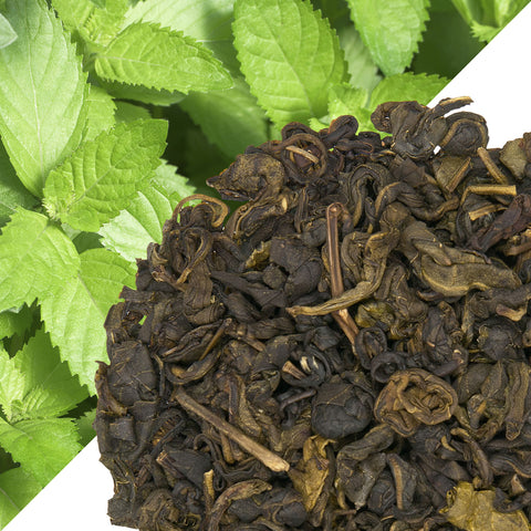 Minty Green - Bush Leaves Tea - shop online for loose leaf tea