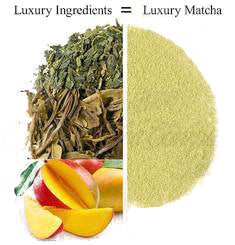 Organic Mango Matcha Tea - Bush Leaves Tea - shop online for loose leaf tea